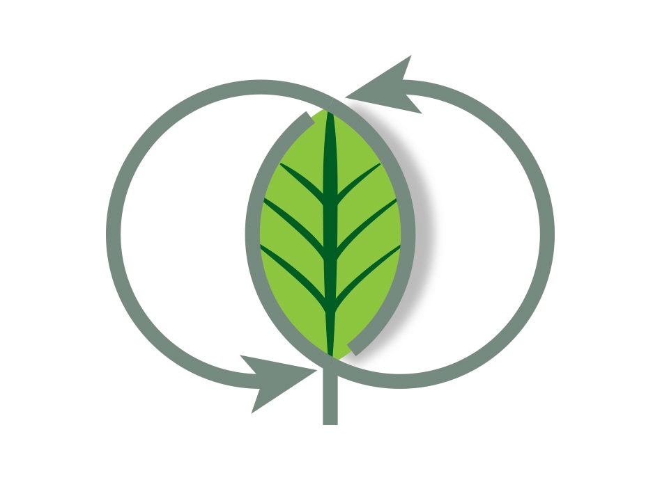 Expresso broyeur Smeg BCC02EGMEU